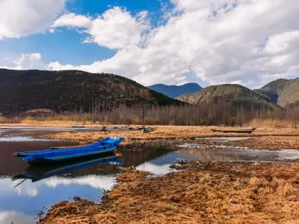 Bingo Millionaire Casino Mobile App